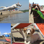 BauBeach: riapre la prima spiaggia per cani con numerose novità bio-sport-social-gourmet
