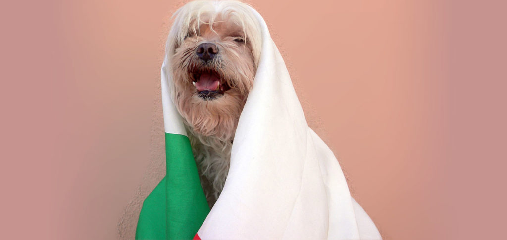 La Mostra delle opere in formato francobollo di Tiffany "Animal academicum" allo "Spazio Filatelia Milano" di Poste Italiane - 13 dicembre 2016