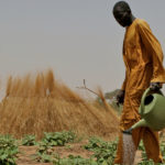 IFAD, nuovo impegno degli Stati membri per ridurre fame e povertà di milioni di abitanti delle zone rurali