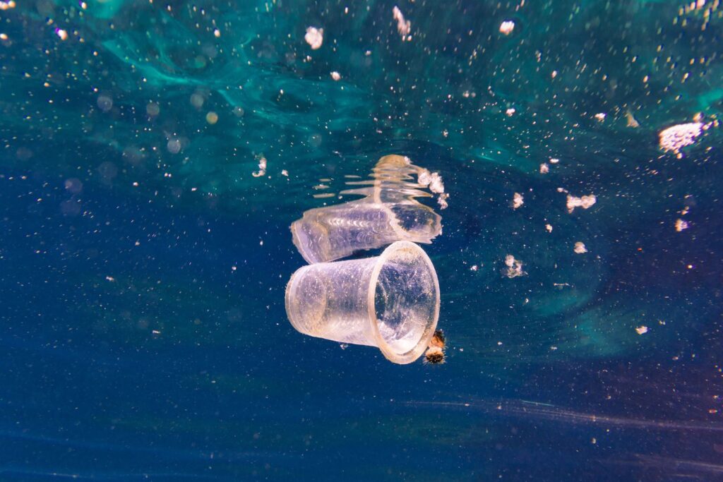Il Presidente Tajani ospita la conferenza ad alto livello sul futuro degli oceani: "Se non agiamo subito, entro il 2050 nei mari avremo più plastica che pesce"