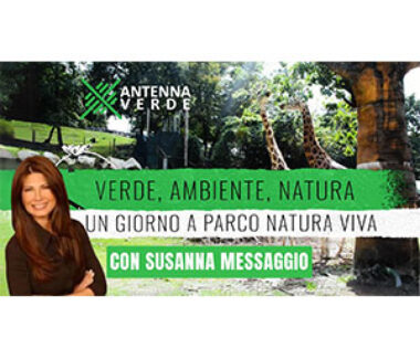 Verde, ambiente e natura: un giorno a Parco Natura Viva con Susanna Messaggio