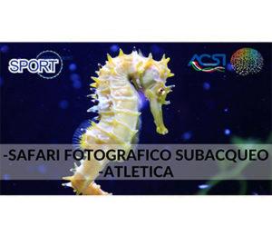 SPORT E TEMPO LIBERO - 23 PUNTATA