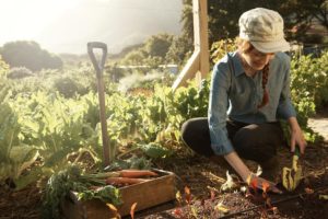 Prodotti biologici: regole più rigide per le importazioni