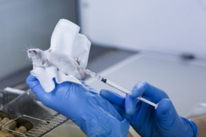 Sperimentazione animale dei cosmetici: Il Parlamento chiede un divieto mondiale