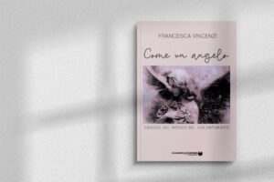 Presentazione del libro sul mondo del volontariato Come un Angelo di Francesca Vincenzi